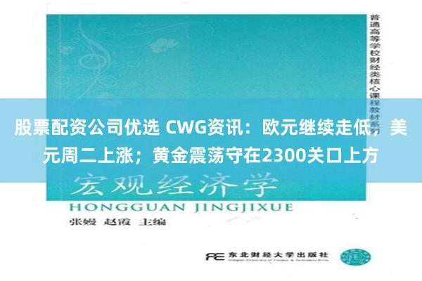 股票配资公司优选 CWG资讯：欧元继续走低，美元周二上涨；黄金震荡守在2300关口上方