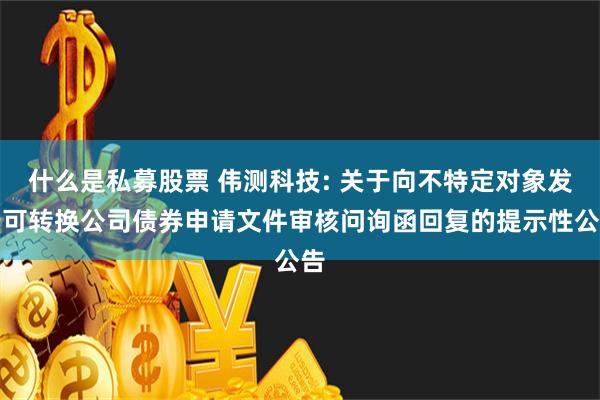 什么是私募股票 伟测科技: 关于向不特定对象发行可转换公司债券申请文件审核问询函回复的提示性公告