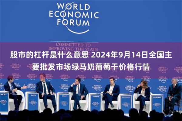 股市的杠杆是什么意思 2024年9月14日全国主要批发市场绿马奶葡萄干价格行情