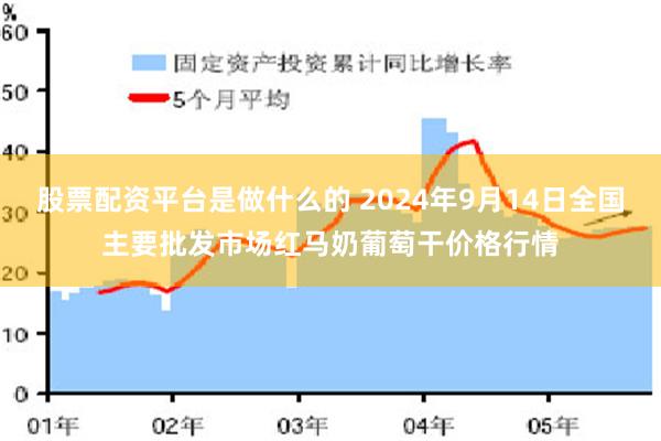 股票配资平台是做什么的 2024年9月14日全国主要批发市场红马奶葡萄干价格行情