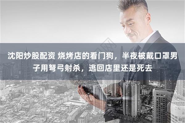 沈阳炒股配资 烧烤店的看门狗，半夜被戴口罩男子用弩弓射杀，逃回店里还是死去