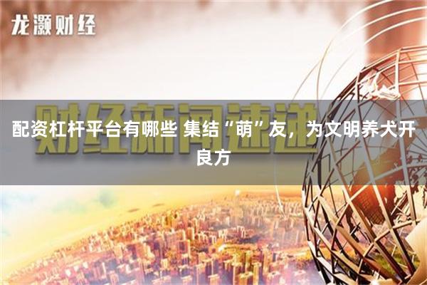 配资杠杆平台有哪些 集结“萌”友，为文明养犬开良方