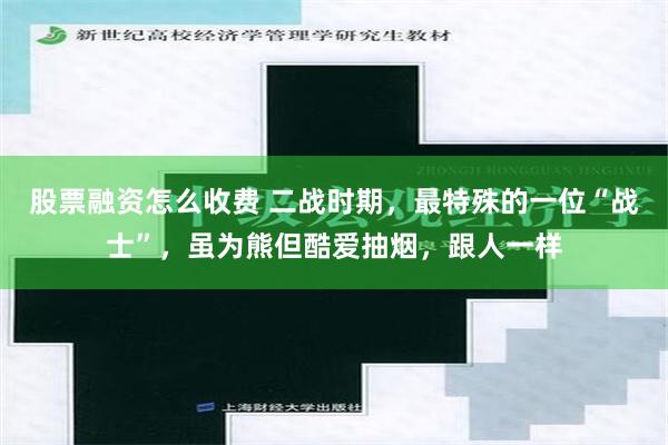 股票融资怎么收费 二战时期，最特殊的一位“战士”，虽为熊但酷爱抽烟，跟人一样