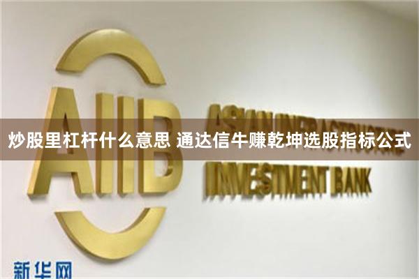 炒股里杠杆什么意思 通达信牛赚乾坤选股指标公式