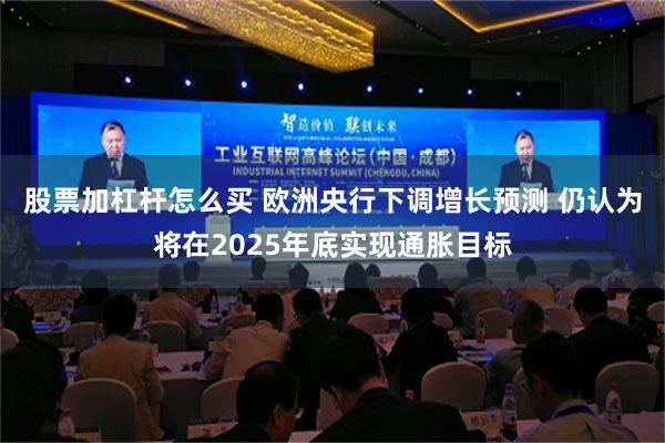 股票加杠杆怎么买 欧洲央行下调增长预测 仍认为将在2025年底实现通胀目标