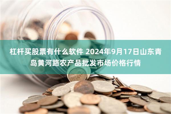 杠杆买股票有什么软件 2024年9月17日山东青岛黄河路农产品批发市场价格行情