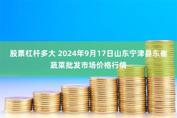 股票杠杆多大 2024年9月17日山东宁津县东崔蔬菜批发市场价格行情
