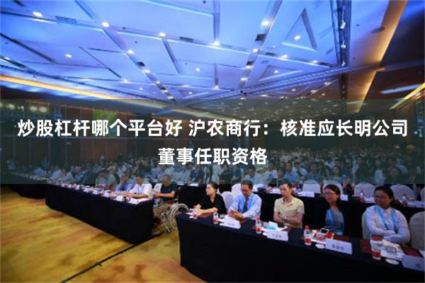 炒股杠杆哪个平台好 沪农商行：核准应长明公司董事任职资格