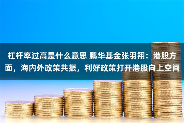 杠杆率过高是什么意思 鹏华基金张羽翔：港股方面，海内外政策共振，利好政策打开港股向上空间