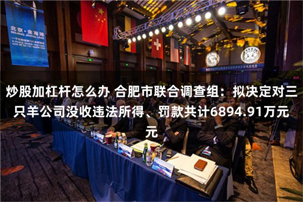 炒股加杠杆怎么办 合肥市联合调查组：拟决定对三只羊公司没收违法所得、罚款共计6894.91万元