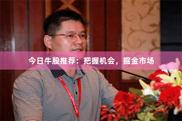 今日牛股推荐：把握机会，掘金市场