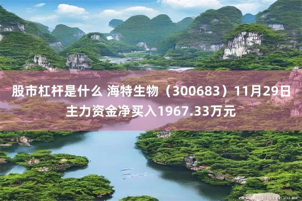 股市杠杆是什么 海特生物（300683）11月29日主力资金净买入1967.33万元