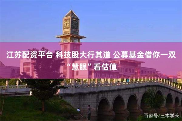 江苏配资平台 科技股大行其道 公募基金借你一双“慧眼”看估值