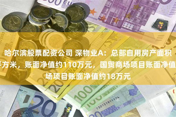 哈尔滨股票配资公司 深物业A：总部自用房产面积约6200平方米，账面净值约110万元，国贸商场项目账面净值约18万元