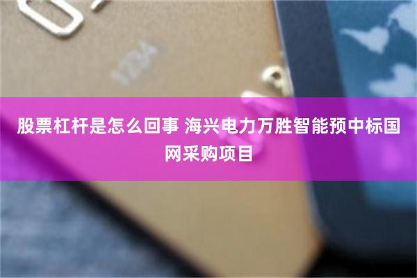 股票杠杆是怎么回事 海兴电力万胜智能预中标国网采购项目