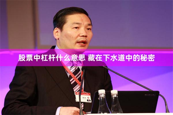 股票中杠杆什么意思 藏在下水道中的秘密