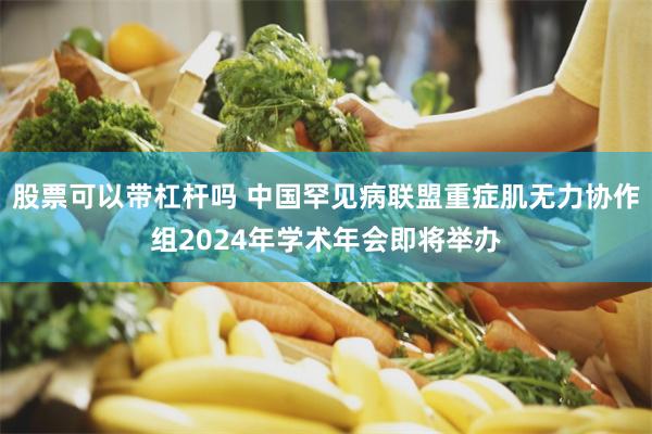 股票可以带杠杆吗 中国罕见病联盟重症肌无力协作组2024年学术年会即将举办