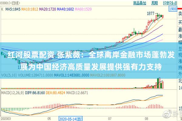 红河股票配资 张紫薇：全球离岸金融市场蓬勃发展为中国经济高质量发展提供强有力支持
