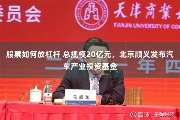 股票如何放杠杆 总规模20亿元，北京顺义发布汽车产业投资基金