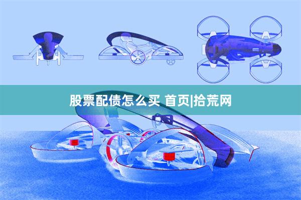 股票配债怎么买 首页|拾荒网