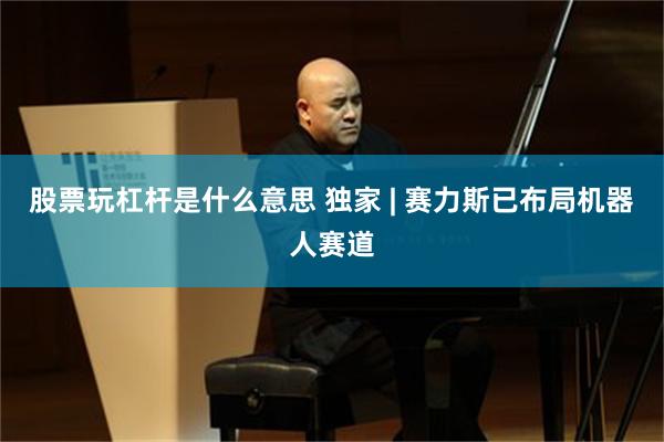股票玩杠杆是什么意思 独家 | 赛力斯已布局机器人赛道
