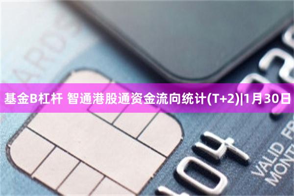 基金B杠杆 智通港股通资金流向统计(T+2)|1月30日