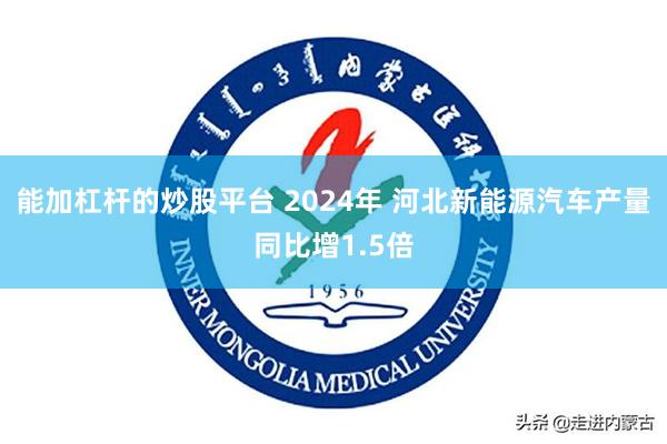 能加杠杆的炒股平台 2024年 河北新能源汽车产量同比增1.5倍