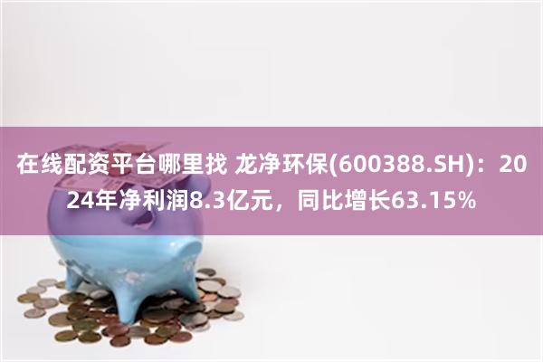 在线配资平台哪里找 龙净环保(600388.SH)：2024年净利润8.3亿元，同比增长63.15%