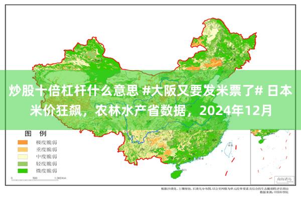 炒股十倍杠杆什么意思 #大阪又要发米票了# 日本米价狂飙，农林水产省数据，2024年12月