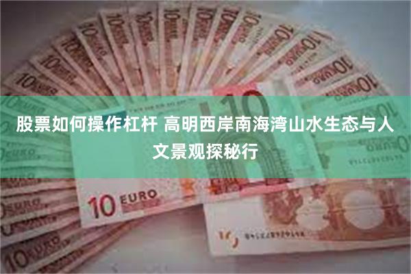 股票如何操作杠杆 高明西岸南海湾山水生态与人文景观探秘行