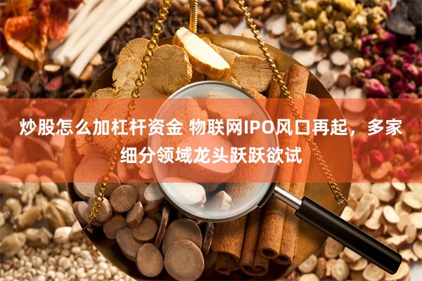 炒股怎么加杠杆资金 物联网IPO风口再起，多家细分领域龙头跃跃欲试