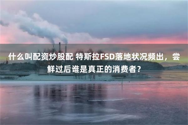 什么叫配资炒股配 特斯拉FSD落地状况频出，尝鲜过后谁是真正的消费者？