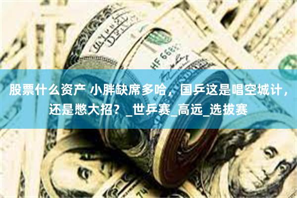 股票什么资产 小胖缺席多哈，国乒这是唱空城计，还是憋大招？_世乒赛_高远_选拔赛