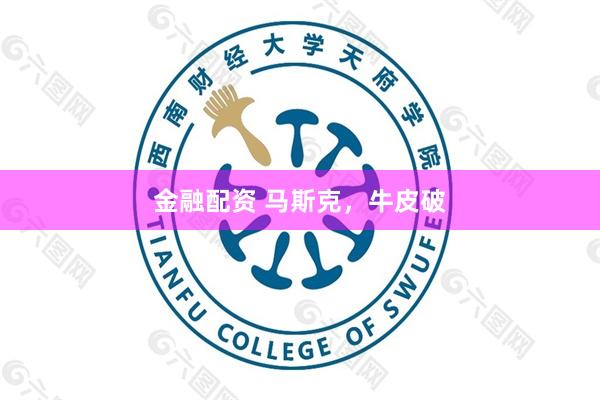 金融配资 马斯克，牛皮破