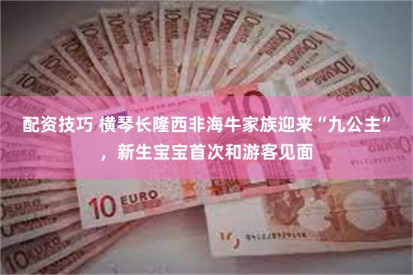 配资技巧 横琴长隆西非海牛家族迎来“九公主”，新生宝宝首次和游客见面