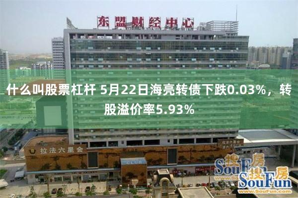 什么叫股票杠杆 5月22日海亮转债下跌0.03%，转股溢价率5.93%