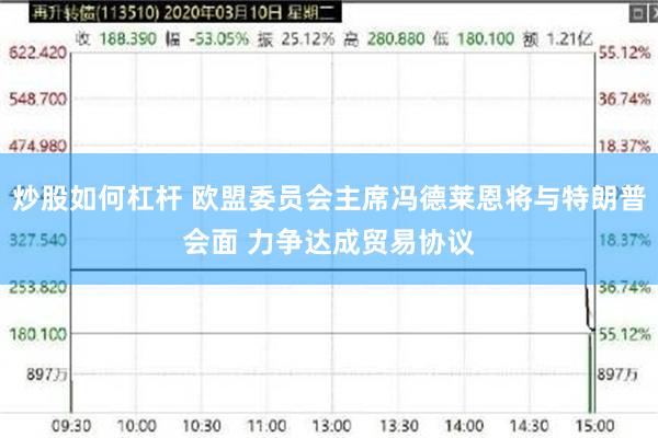 炒股如何杠杆 欧盟委员会主席冯德莱恩将与特朗普会面 力争达成贸易协议