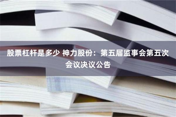 股票杠杆是多少 神力股份：第五届监事会第五次会议决议公告