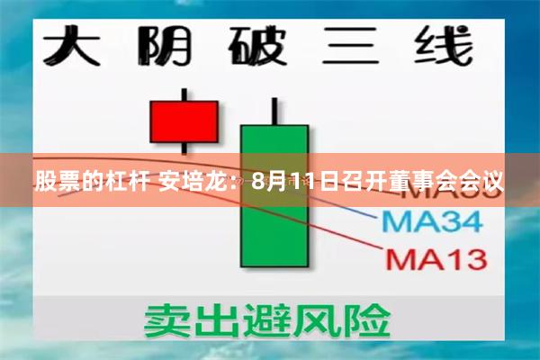 股票的杠杆 安培龙：8月11日召开董事会会议
